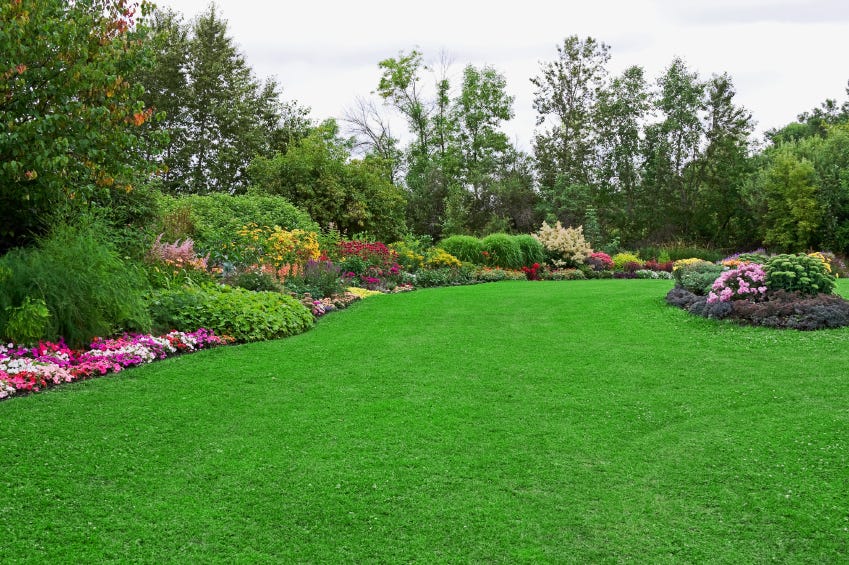 Garden artificial grass