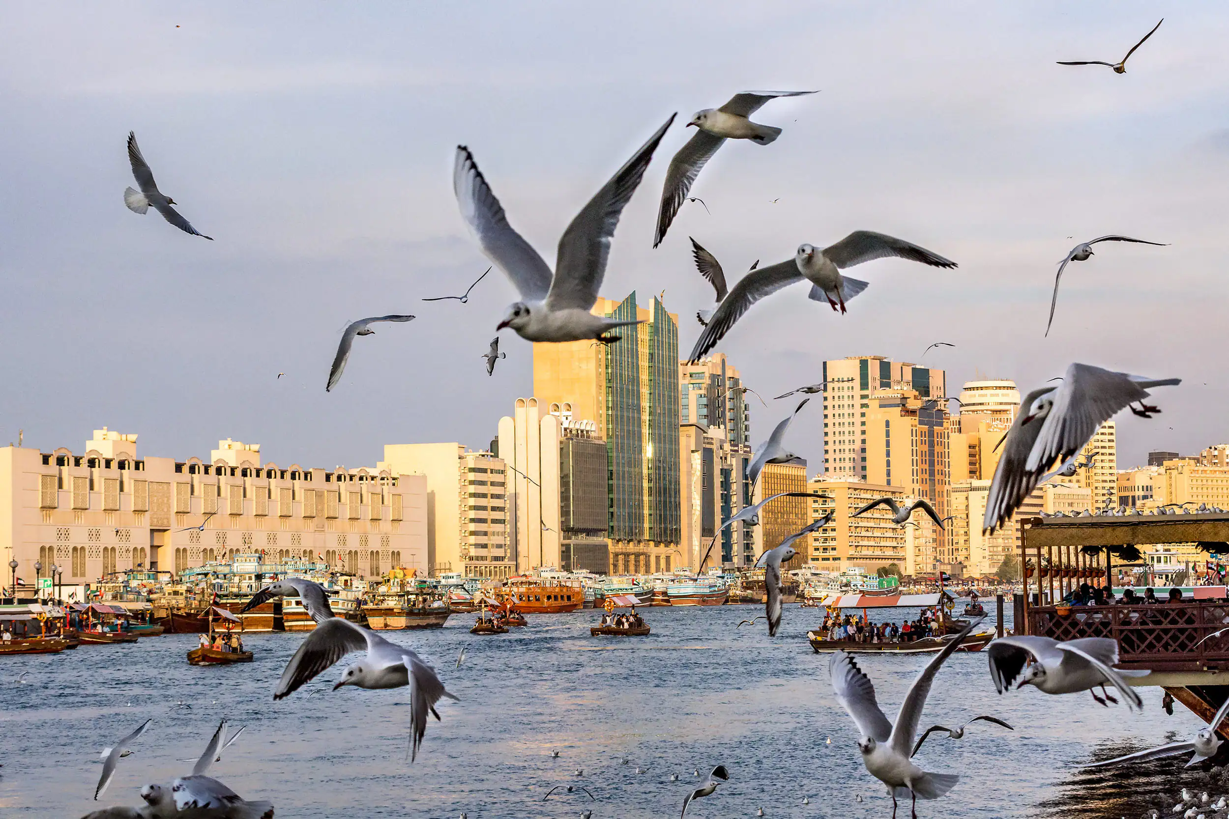 deira fallback getty