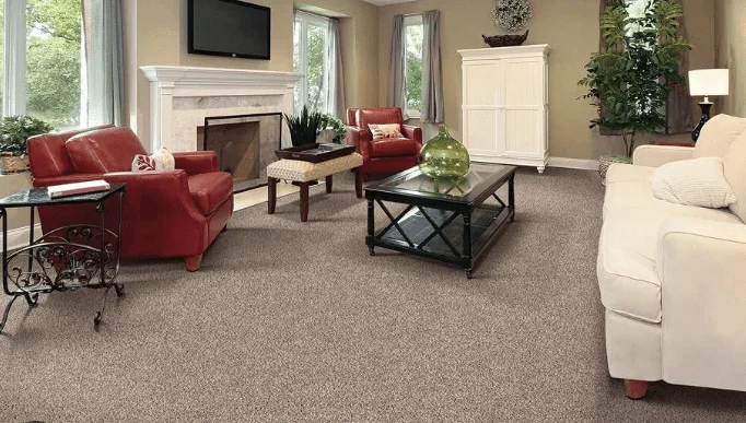 You are currently viewing Wall to Wall Carpet Shop in Dubai – Luxury & Comfort for Every Space